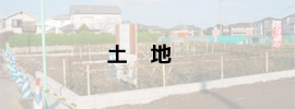 土地